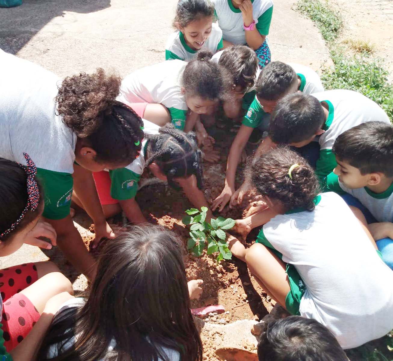 Ações ambientais movimentam escolas de Abaeté